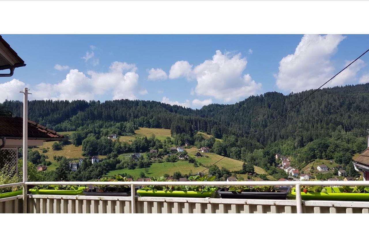 Talstadtblick Schramberg Dış mekan fotoğraf