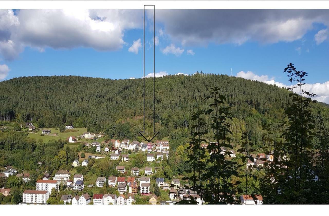 Talstadtblick Schramberg Dış mekan fotoğraf