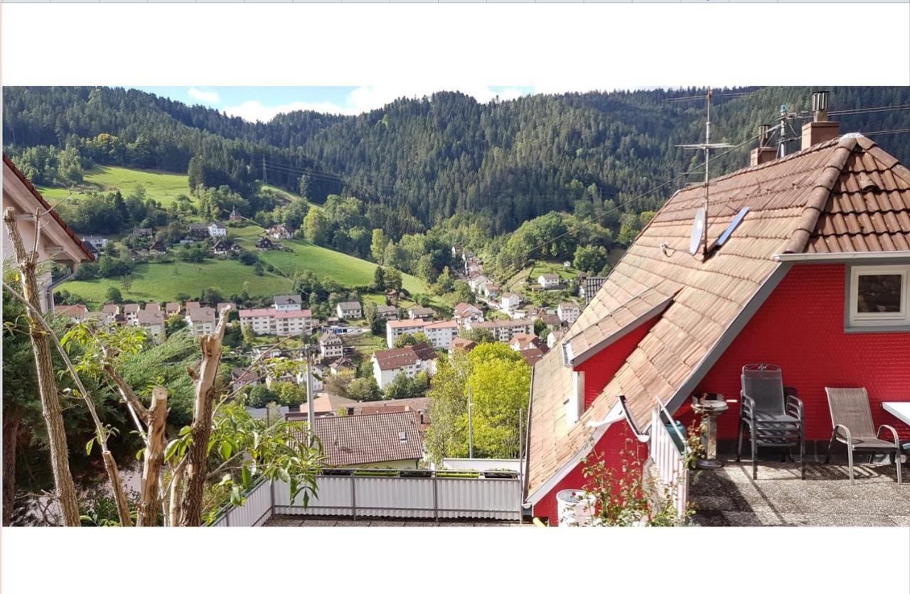 Talstadtblick Schramberg Dış mekan fotoğraf